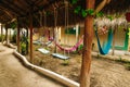 Multi-colored hammocks and swing among palm trees at the hotel Royalty Free Stock Photo