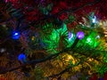 Multi colored ight on christmas tree macro detail shot