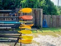 Multi colored kayak paddles on storage rack on the sandy beach and tropical green yard background.