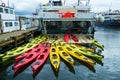 Multi-colored kayaks on adventure cruise ship