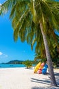 Multi-colored kayaks on a tropical sandy beach. Kayak rental. Tourist entertainment Royalty Free Stock Photo