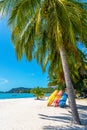 Multi-colored kayaks on a tropical sandy beach. Kayak rental. Tourist entertainment Royalty Free Stock Photo