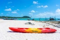 Multi-colored kayaks on a tropical sandy beach. Kayak rental. Tourist entertainment