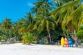 Multi-colored kayaks on a tropical sandy beach. Kayak rental. Tourist entertainment