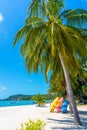 Multi-colored kayaks on a tropical sandy beach. Kayak rental. Tourist entertainment