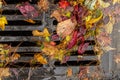 Multi colored leaves clogging a street drain Royalty Free Stock Photo