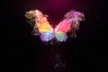 Multi colored magic butterfly on a black background Royalty Free Stock Photo