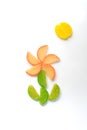 Multi-colored marmalade in the form of slices of lemon and orange on a white background laid out in the form of a flower sun