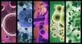 Multi-colored microbes. A combined image of various micro organisms in color.