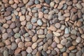 Multi colored of nature rock pebble