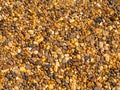 Multi-colored pebbles on the beach. Pebble background