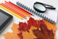 Multi-colored pencils and fallen leaves of Lena lie on white school desk background Royalty Free Stock Photo