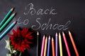 Multi-colored pencils and a red Dahlia flower on a black background with the inscription Royalty Free Stock Photo