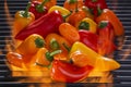 Multi colored Peppers on a Hot Flaming Barbecue Grill