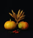 Bright orange pumpkins with wheat ears and branch of wild rose with red berries on black background. Concept is holiday of autumn