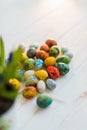 Multi-colored quail Easter eggs on a white wooden background Royalty Free Stock Photo