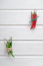 Multi-colored red and green hot chilli peppers tied with a scourge on a white wooden background or table with place for text