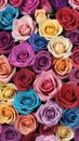 Multi-colored roses in a floral arrangement as a background.