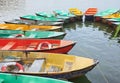 Multi colored row boats moored in a lake.