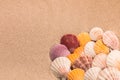 Multi-colored shells on the sand, background for travel advertising, text, inscription Royalty Free Stock Photo