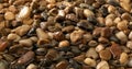 Multi-colored small wet pebbles from the seashore with leaving water. Royalty Free Stock Photo