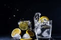 Splash Gin and tonic cocktail with lemon slices Ice cube falls into water with lemon Copy space, lemonade