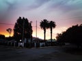 Multi-colored sunset, windmill, trees, sky Royalty Free Stock Photo