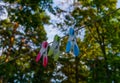 Multi-colored three clothes pegs attached to a long rope in the courtyard