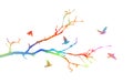 A multi-colored tree branch without leaves with flying birds. Vector illustration Royalty Free Stock Photo