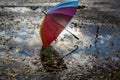 multi-colored umbrella stands in puddle strewn with autumn leaves on asphalt road, illuminated by backlight of sun Royalty Free Stock Photo