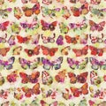 Multi colored watercolor butterfly collage background