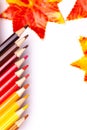 Multi-colored wooden pencils in red shades on a white isolated background and orange autumn leaves