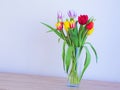 Multi colors of tulip in vase , white background on wood