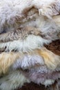 Multi colour natural rare breed sheepskins
