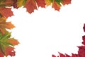 Multi coloured Autumn leaf frame