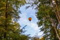 Multi coloured balloon, framed by autumnal trees against a blue sky Royalty Free Stock Photo