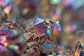 Multi-coloured crystals macro Royalty Free Stock Photo