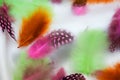 Multi-coloured feathers Royalty Free Stock Photo