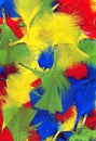 Multi coloured feathers background Royalty Free Stock Photo