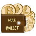 Multi crypto currency wallet with coins