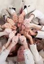 Multi-ethnic business people lying on the floor Royalty Free Stock Photo