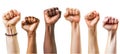 Multi ethnic fists raised up in sign of protest and social unrest, cut out, isolated on transparent background.