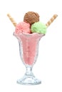 Multi flavor ice cream glass Royalty Free Stock Photo