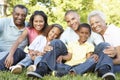 Multi Generation African American Family Relaxing In Park Royalty Free Stock Photo