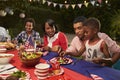 Multi generation black family members at a 4th July barbecue