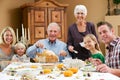 Multi Generation Family Celebrating Thanksgiving Royalty Free Stock Photo