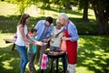 Multi generation family enjoying the barbeque in park Royalty Free Stock Photo