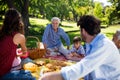 Multi generation family enjoying the picnic in park Royalty Free Stock Photo
