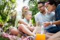 Multi generation family enjoying picnic in a park Royalty Free Stock Photo