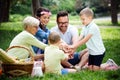 Multi generation family enjoying picnic in a park Royalty Free Stock Photo